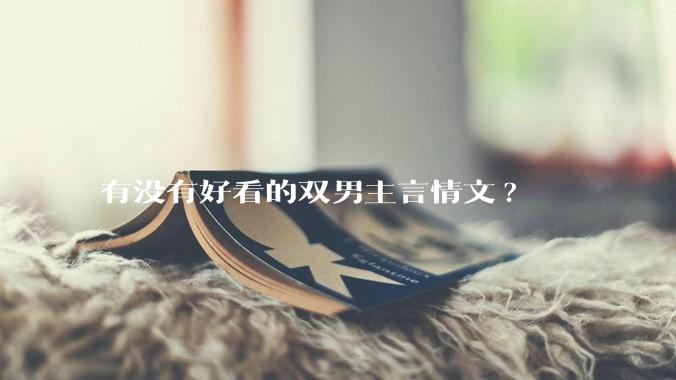 有没有好看的双男主言情文?