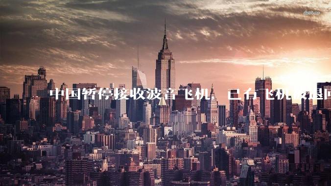 中国暂停接收波音飞机，已有飞机被退回美国，如何看待此事？后续将如何发展？