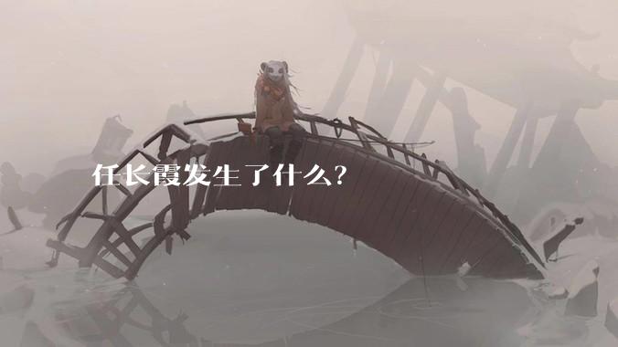 任长霞发生了什么？