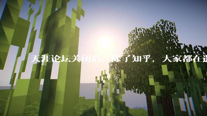 天涯论坛关闭后，除了知乎，大家都在逛什么？