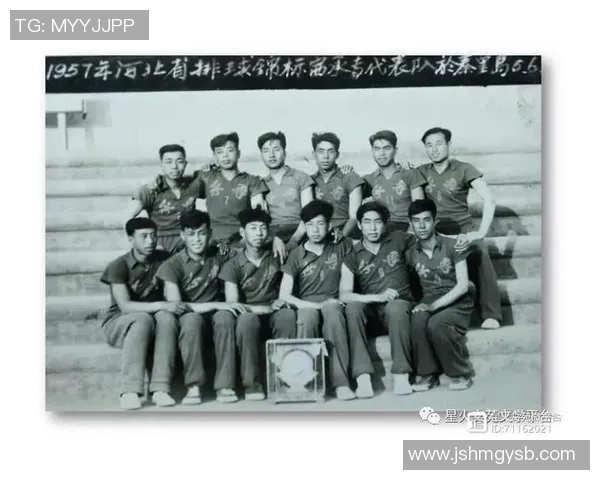 成都排球队的拼搏之路：一段关于梦想与坚持的排球纪实故事