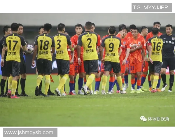 深圳羽毛球队与广州羽毛球队实力对比赛后分析与总结