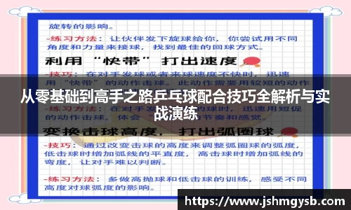 从零基础到高手之路乒乓球配合技巧全解析与实战演练