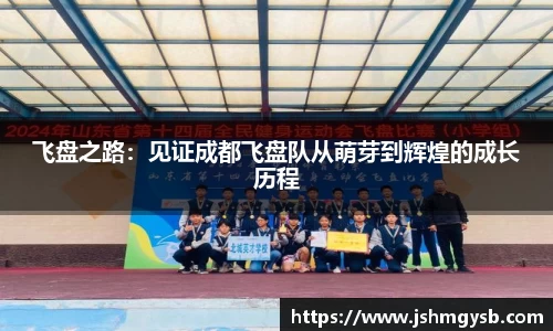 飞盘之路：见证成都飞盘队从萌芽到辉煌的成长历程